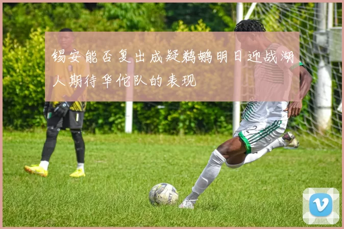 锡安能否复出成疑鹈鹕明日迎战湖人期待华佗队的表现